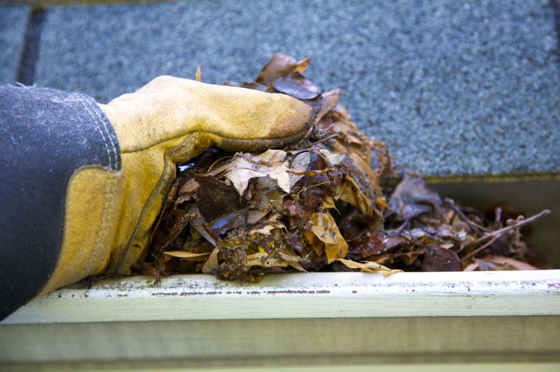 Gutter Debris Removal